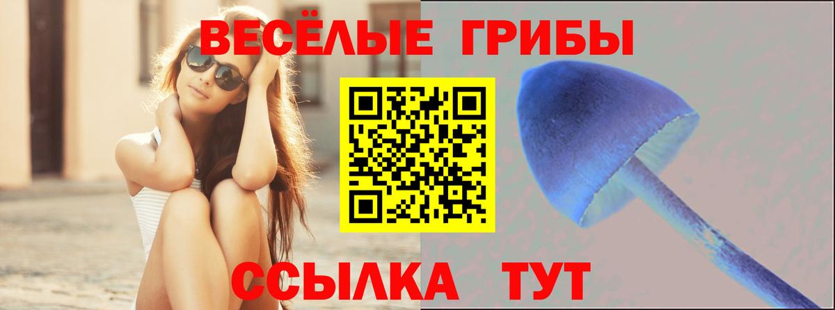 Галлюциногенные грибы прущие грибы  Вход с VPN  Ипатово  Галлюциногенные грибы GOLDEN TEACHER 